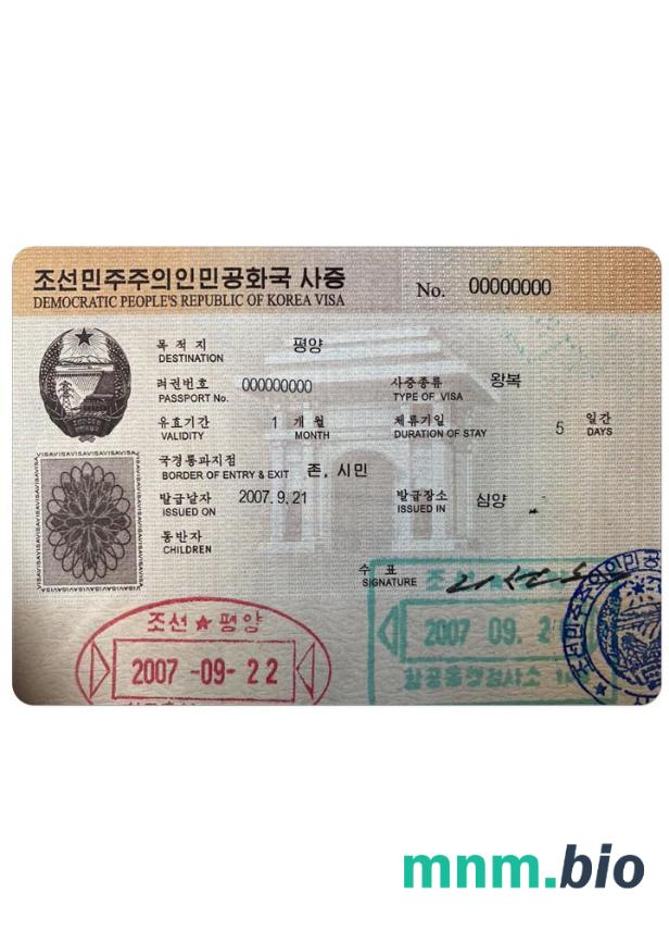 Korea visa przykład w PSD